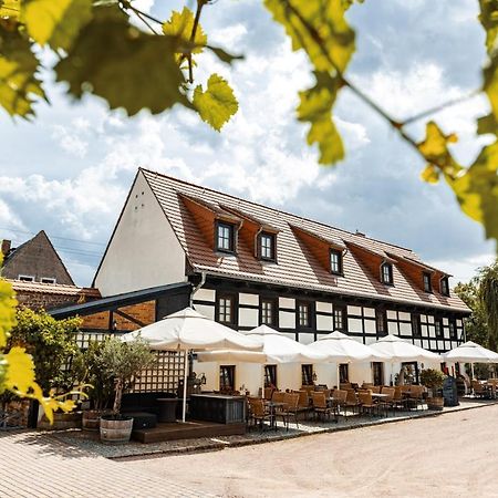 Weingut Schuh - Pension Zur Bosel Coswig  Bagian luar foto